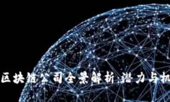岳阳市区块链公司全景解析：潜力与机遇并存